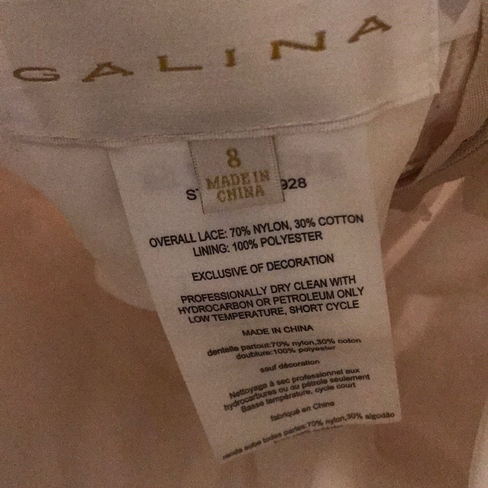 Galina (David’s Bridal) Wedding Dress - Picture 6 of 8